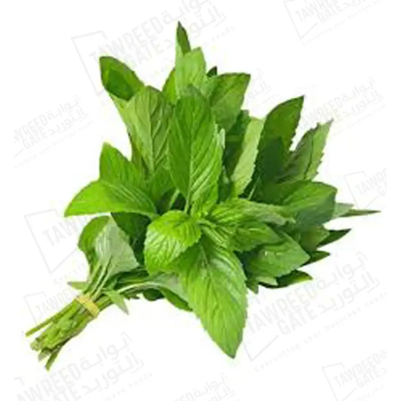 نعناع طازج